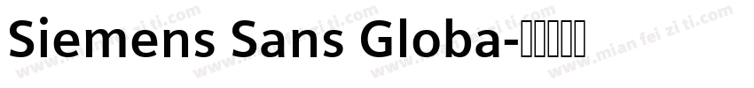 Siemens Sans Globa字体转换